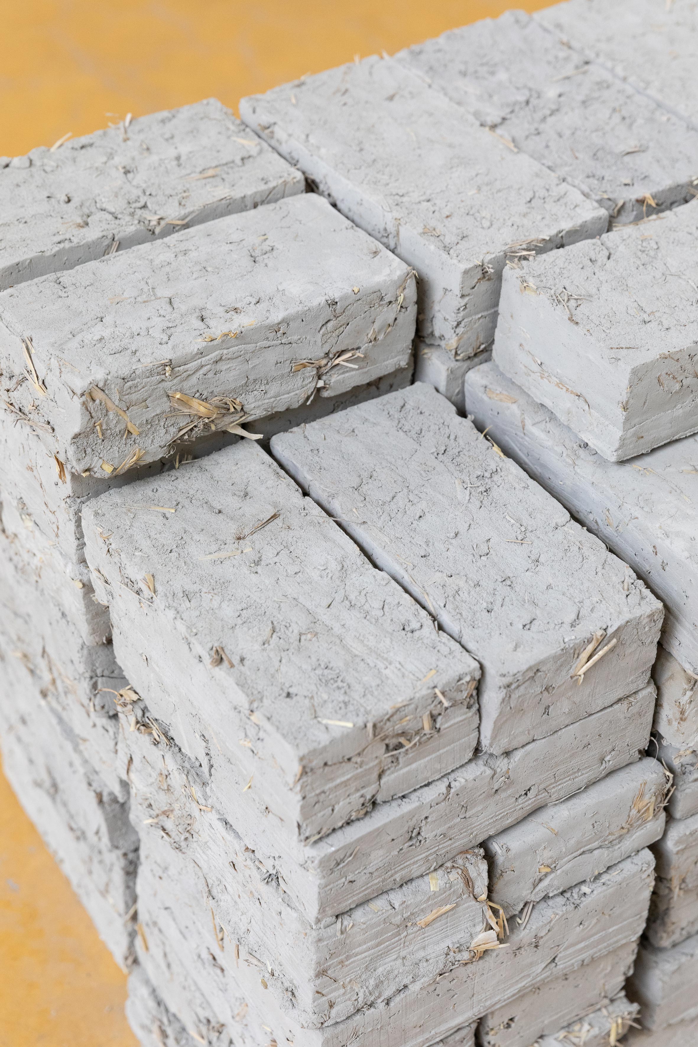 A few bricks short of a full load, Victor Sala