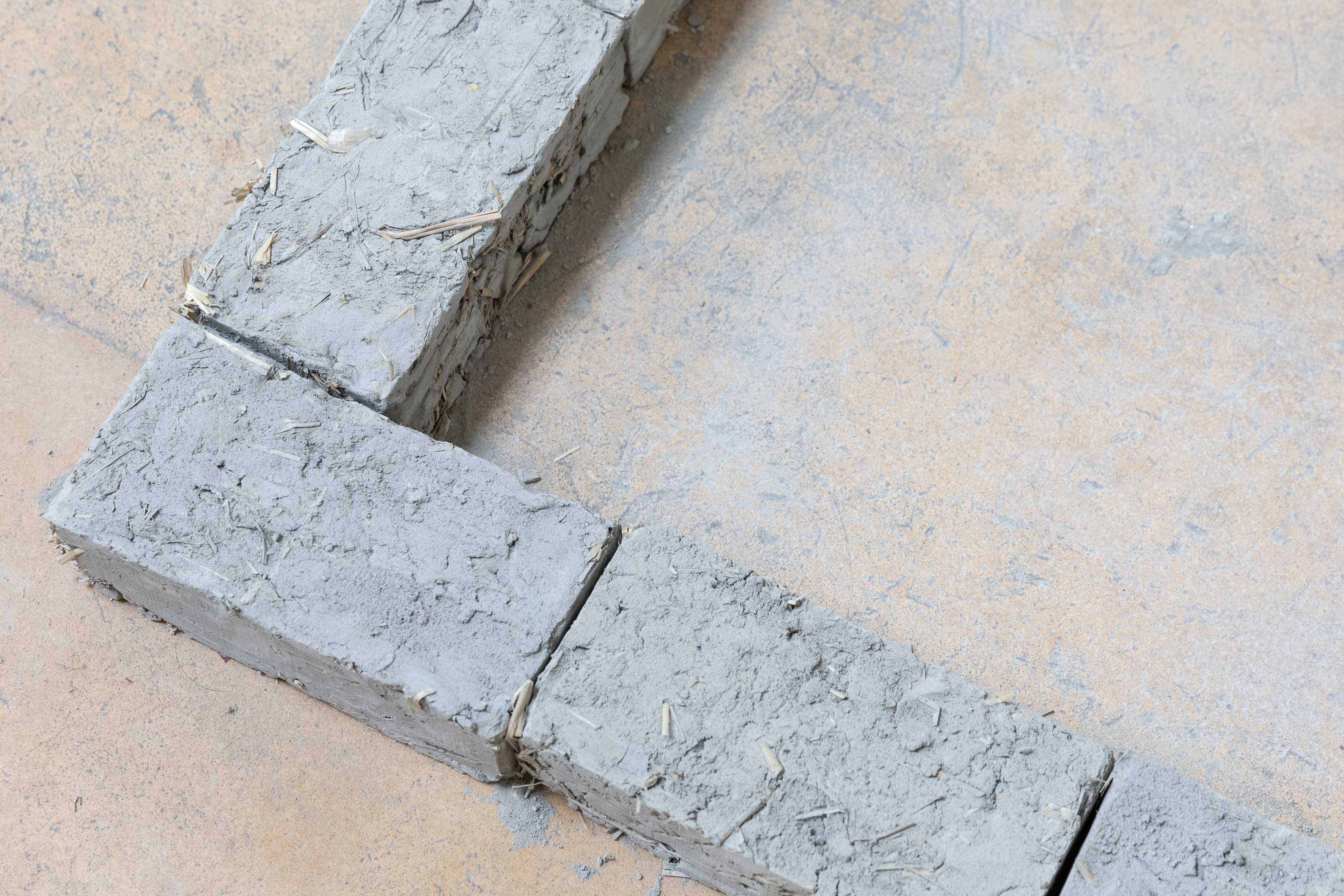 A few bricks short of a full load, Victor Sala