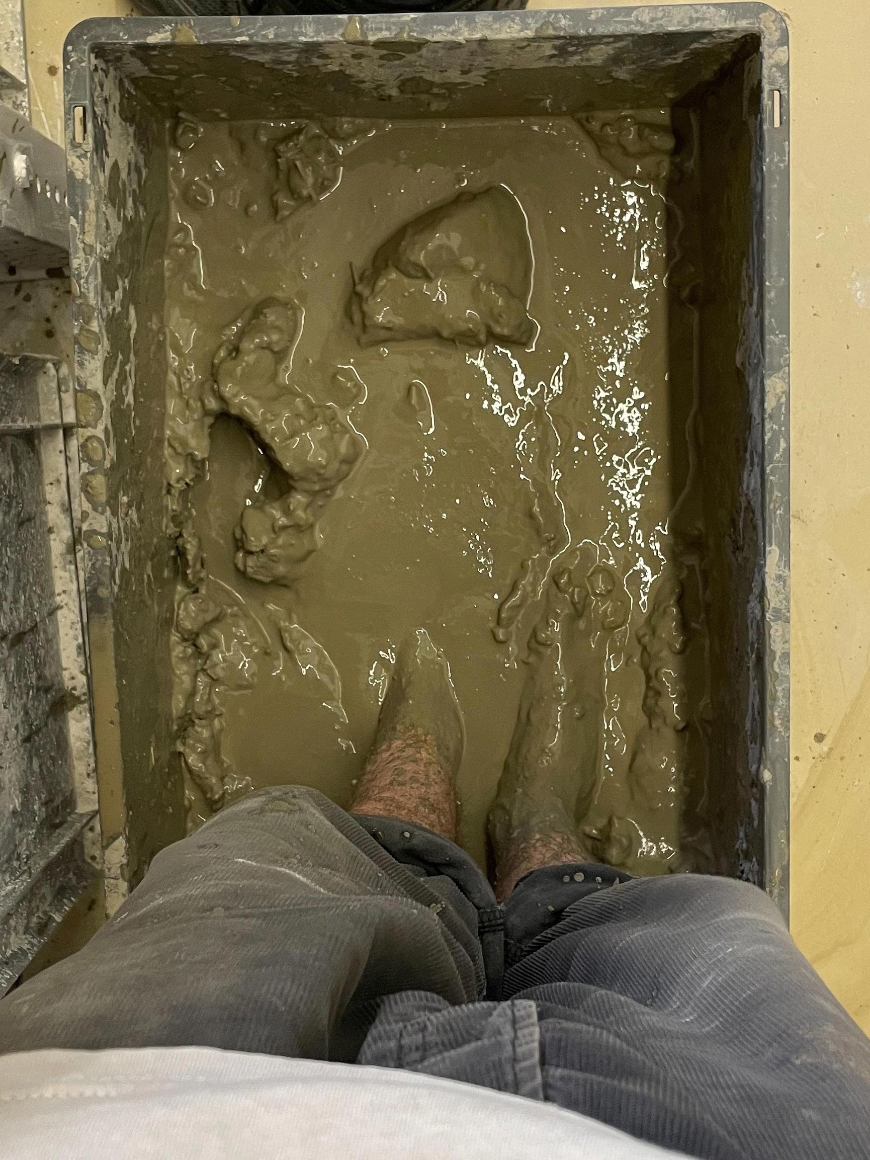 A few bricks short of a full load, Victor Sala